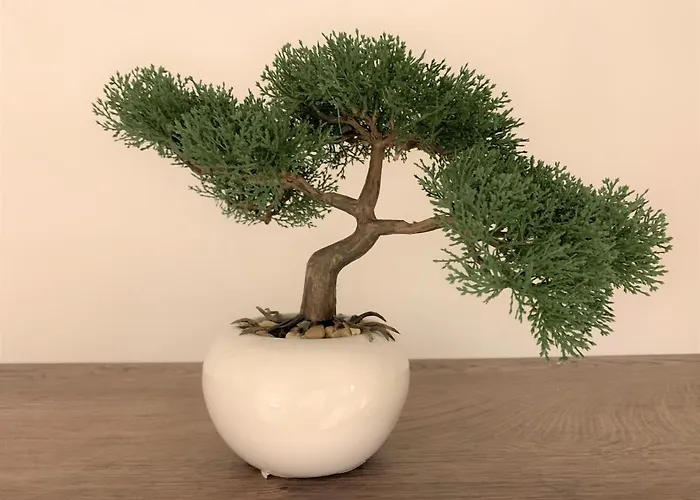 Fani - In تروغير