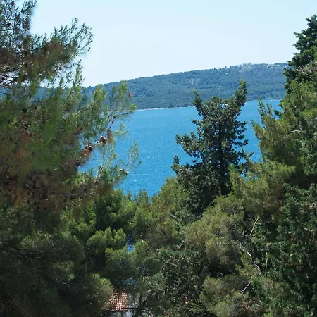 Fani - In * Trogir