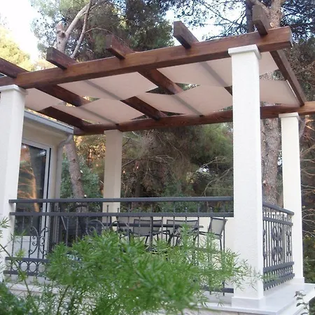 Fani - In トロギール