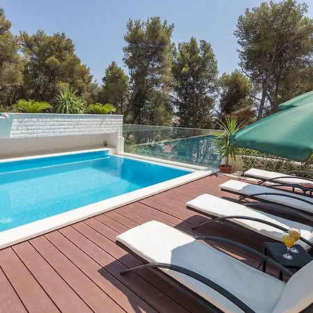 Fani - In トロギール