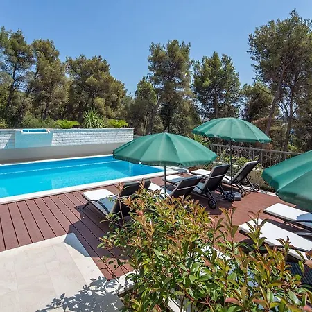 Fani - In トロギール