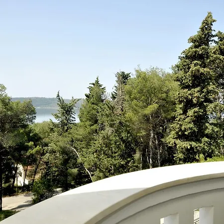 Fani - In トロギール