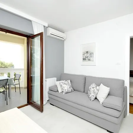 Fani - In * トロギール