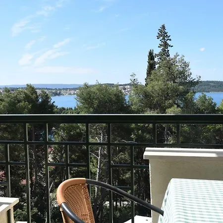 Fani - In トロギール