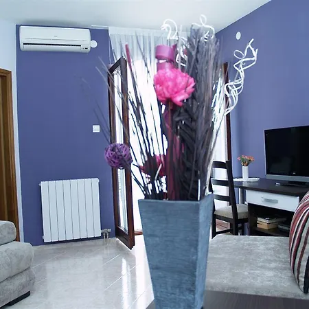 Fani - In Apartman *